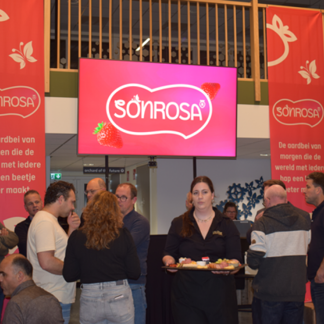 FruitMasters and Limgroup launch 'supersonic' Sonrosa strawberry